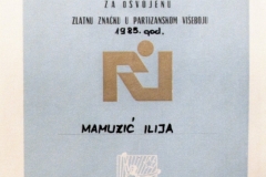 1985-zlatna_znacka-partizanski_viseboj