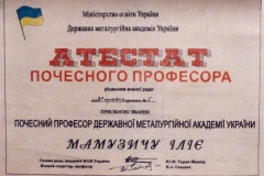 1999-Dnepropetrovsk-diploma_prof_h_c